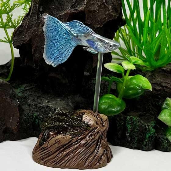 ブルーグラスグッピー