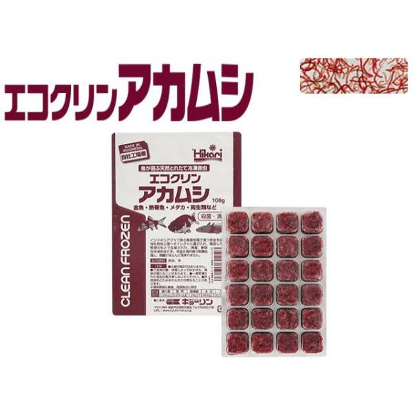 ジャワメダカ