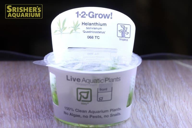 アマゾンソード