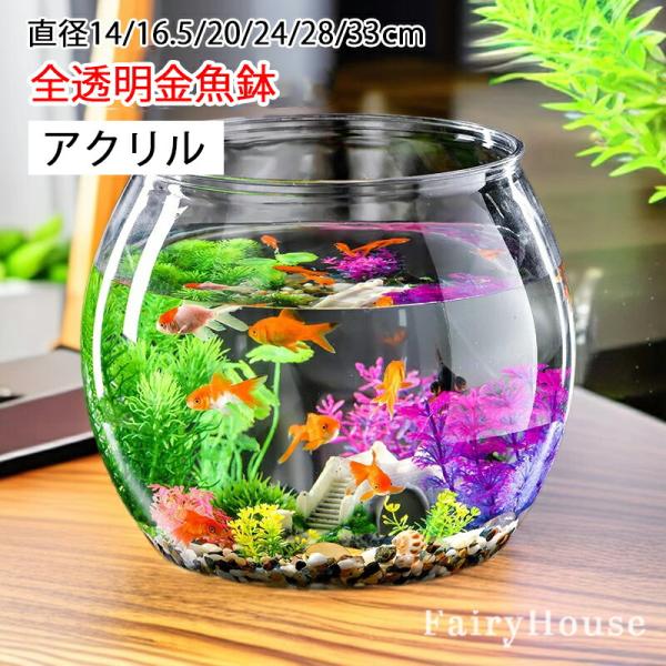 アリ植物