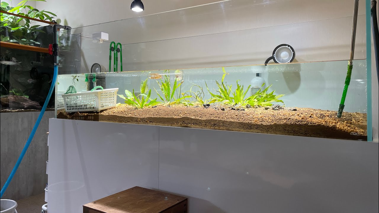 エキノ アパート