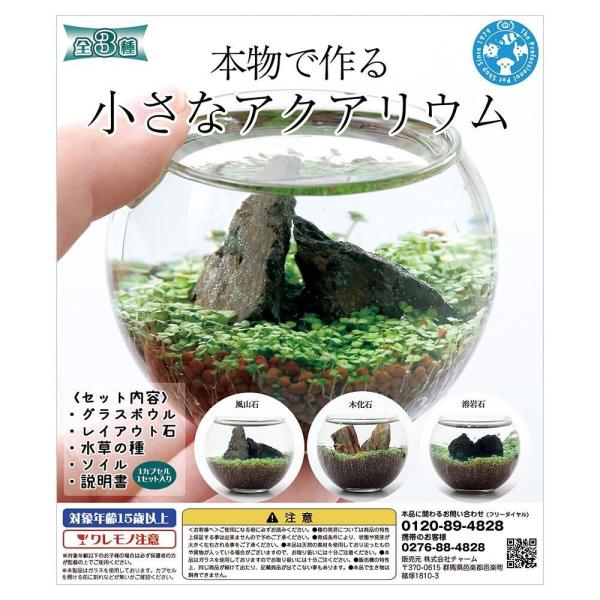 カプセルグラス
