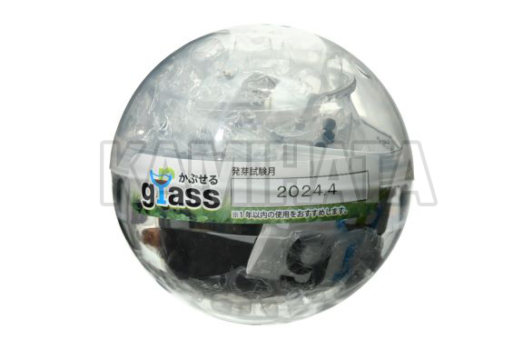 カプセルグラス