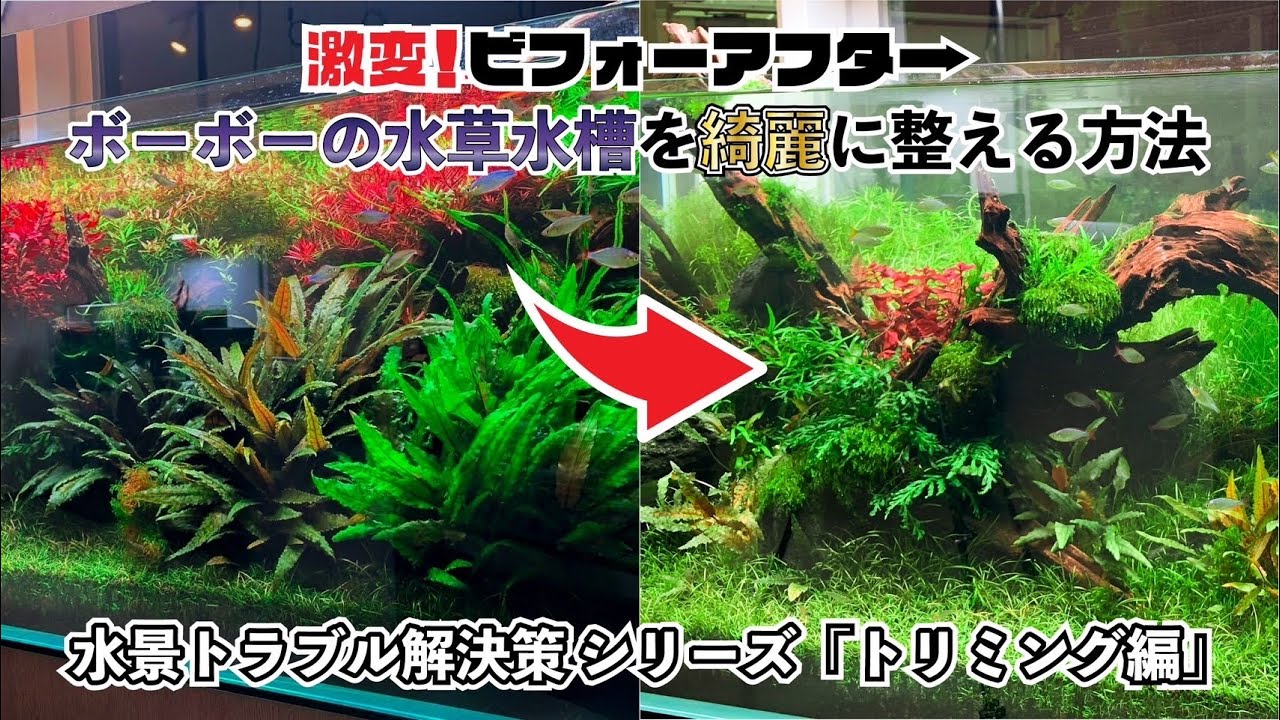 クリプト アクセルロディ