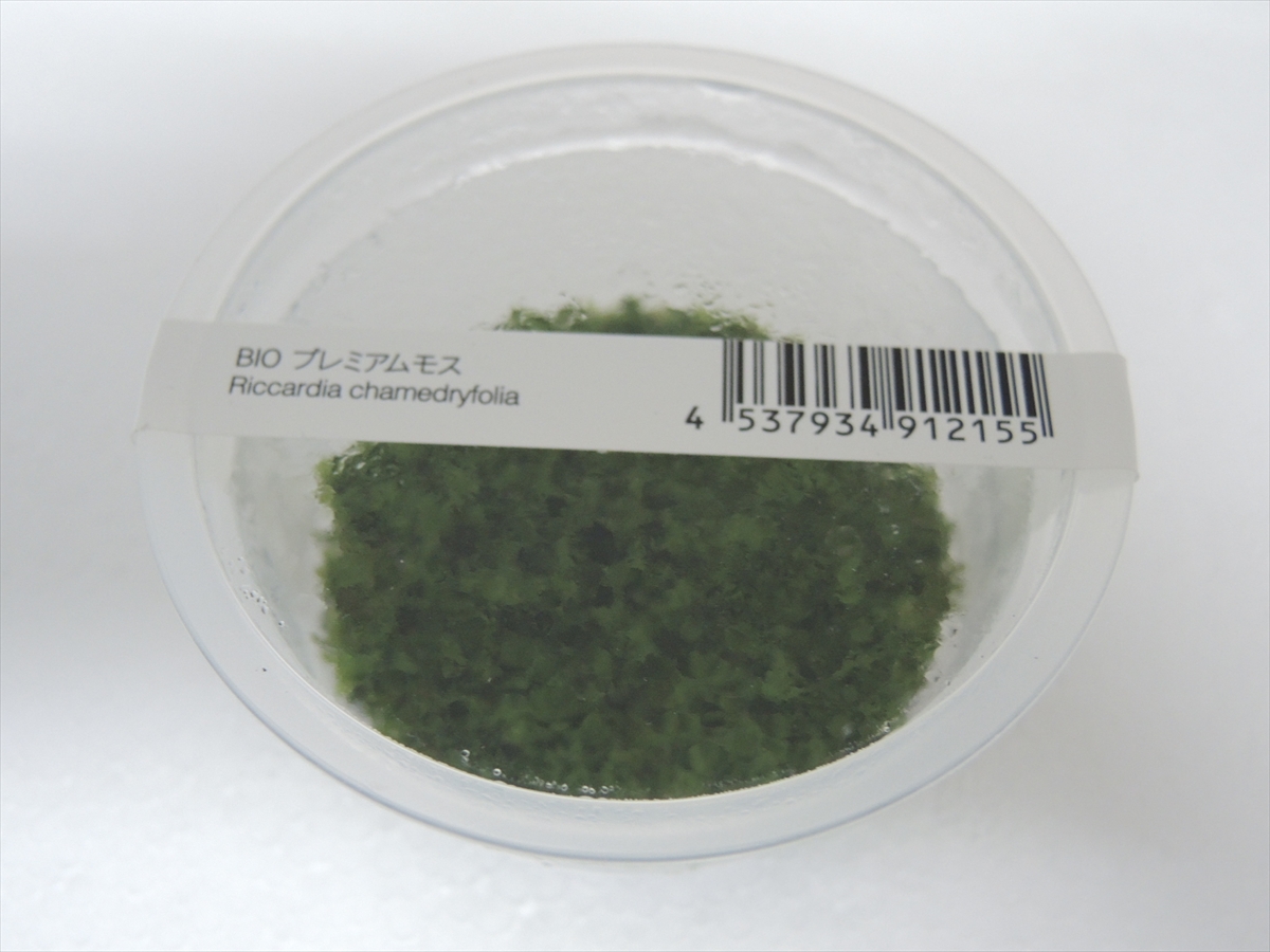 プレミアムモス