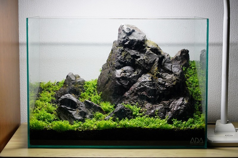 ミニ キューバパールグラス