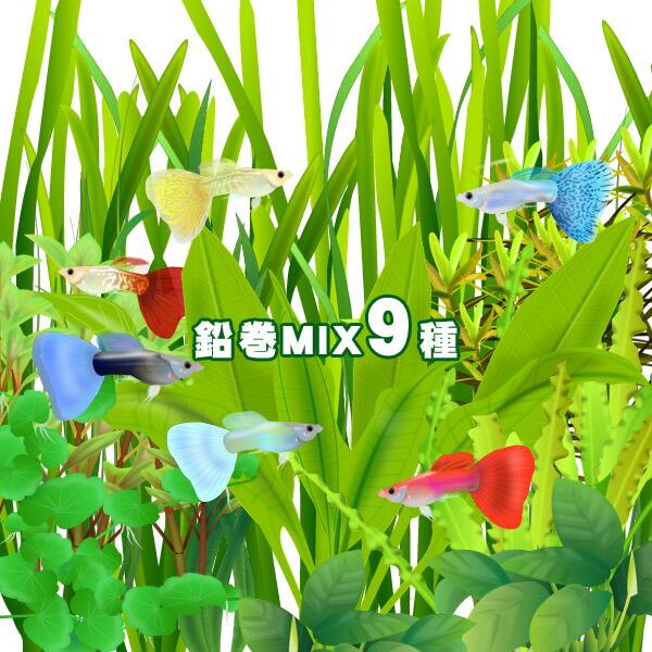 前景&後景MIX