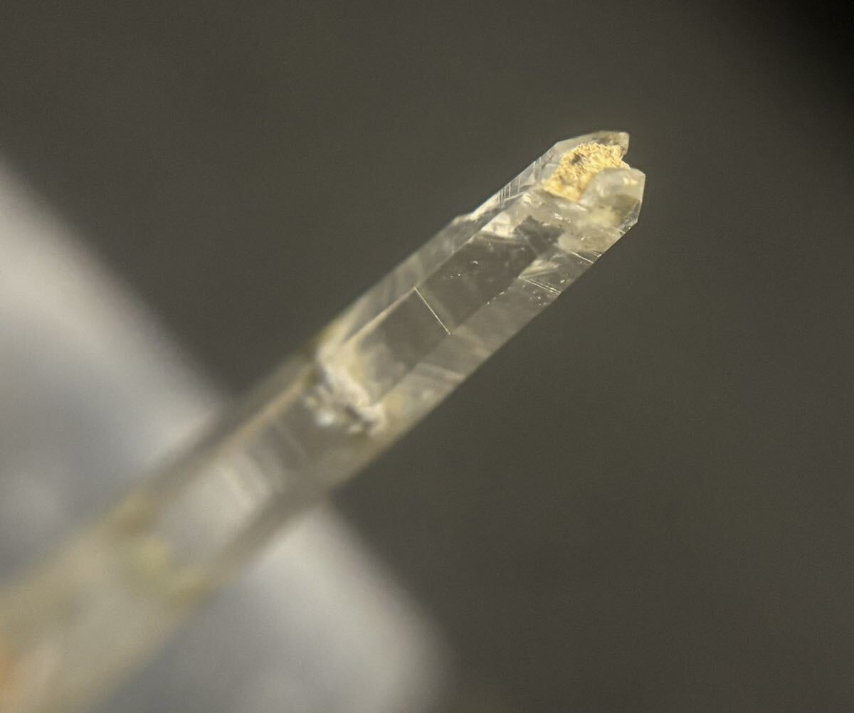 s look at the example `国産マリモ　超ミニサイズ` -> `マリモ`.
    *   Input: `カップ付