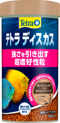 テトラ     ディスカス