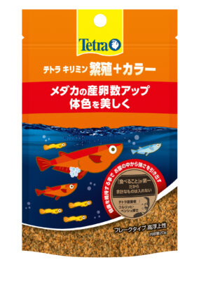 テトラ キリミン 繁殖＋カラー　２０G