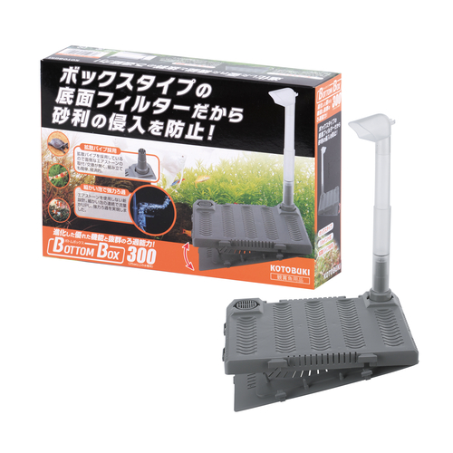 ボトムボックス300