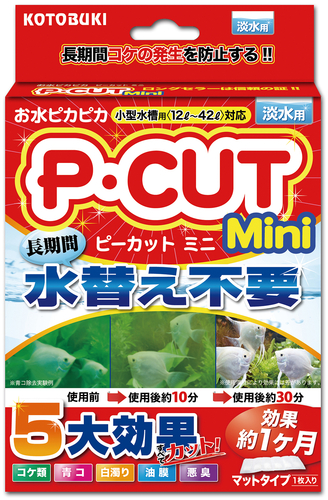 P・カットミニ42