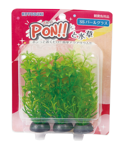 PON!!と水草 PON-SS パールグラス