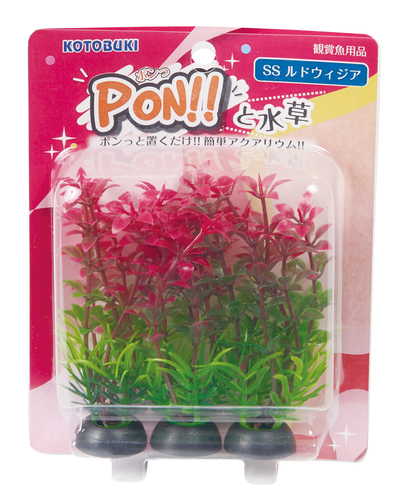 PON!!と水草 PON-SS ルドウィジア