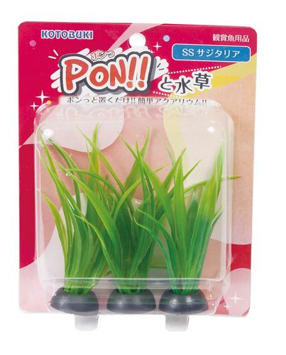 PON!!と水草 PON-SS サジタリア