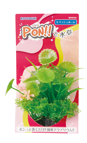 PON!!と水草 PON-S マッシュルーム