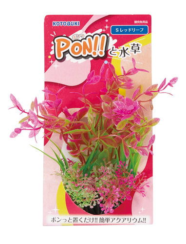 PON!!と水草 PON-S レッドリーフ