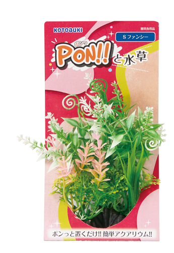 PON!!と水草 PON-S ファンシー