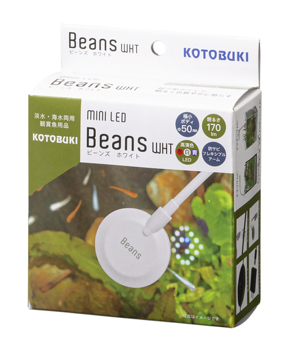 ミニLED ビーンズ ホワイト