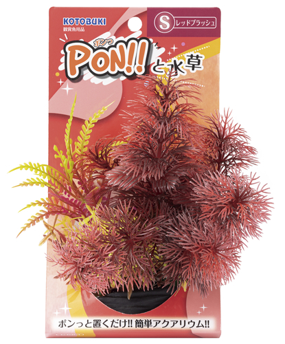 PON!!と水草 PON-S レッドブラッシュ