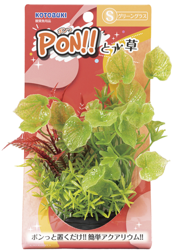 PON!!と水草 PON-S グリーングラス