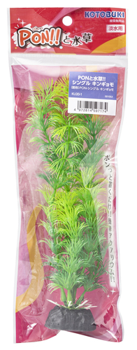 PON!!と水草   シングルキンギョモ