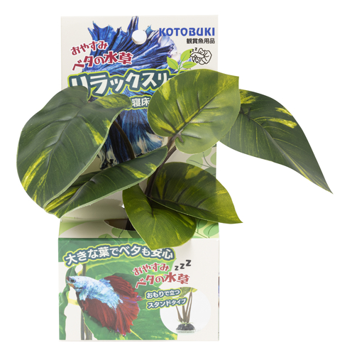 ベタの水草 スタンドタイプ