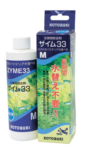 ザイム33（M）