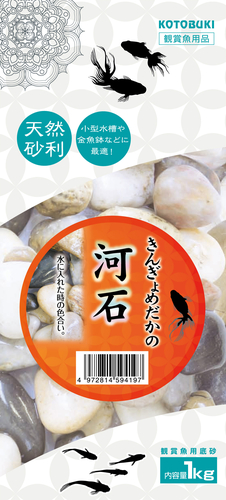 きんぎょめだかの 河石