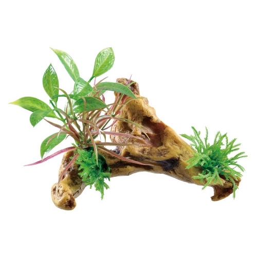 癒し水景 水草付き流木 ニードル