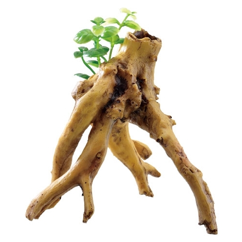 癒し水景 水草付き流木 ブランチ