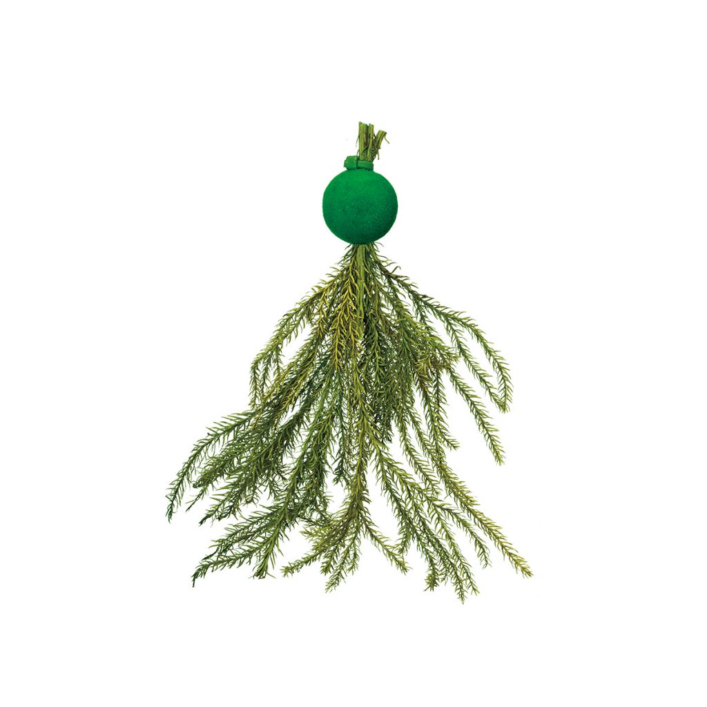 メダカの浮く産卵藻（小）