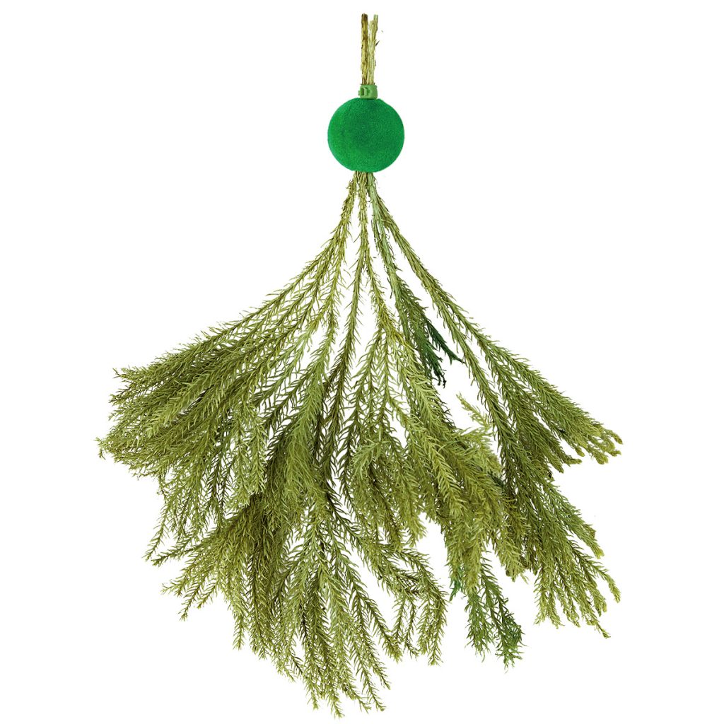 メダカの浮く産卵藻（大）